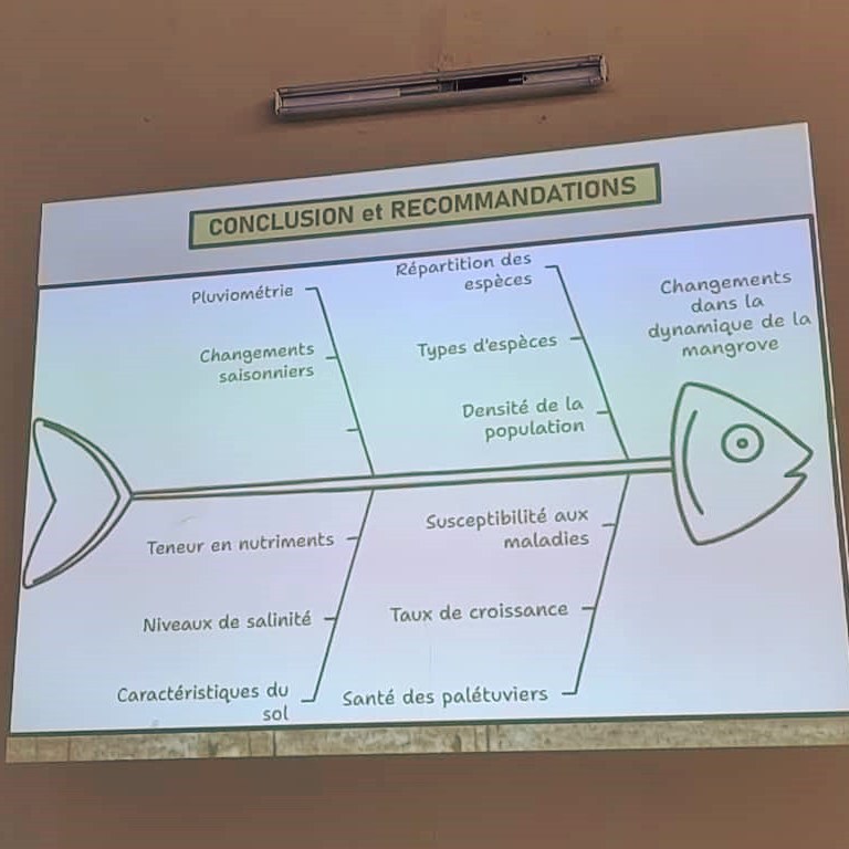 colloque-mangroves-senegal