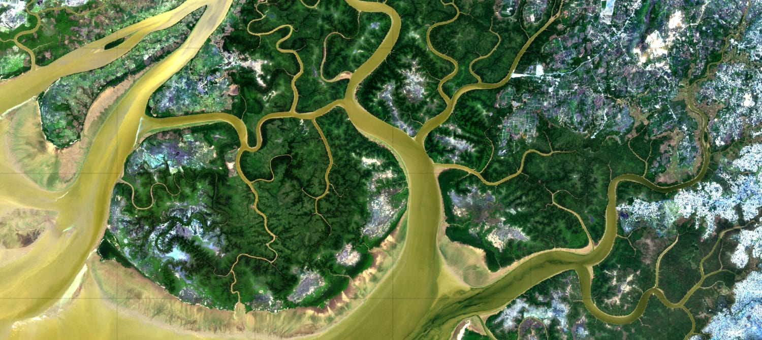 protection-des-mangroves-de-konkoure-en-republique-de-guinee