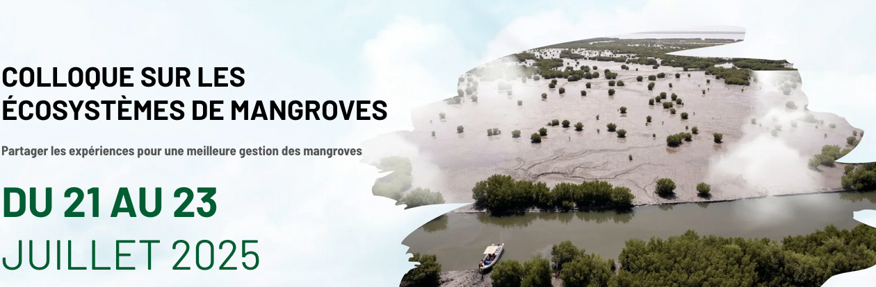 Capture d’écran 2025-07-30 à 18.03