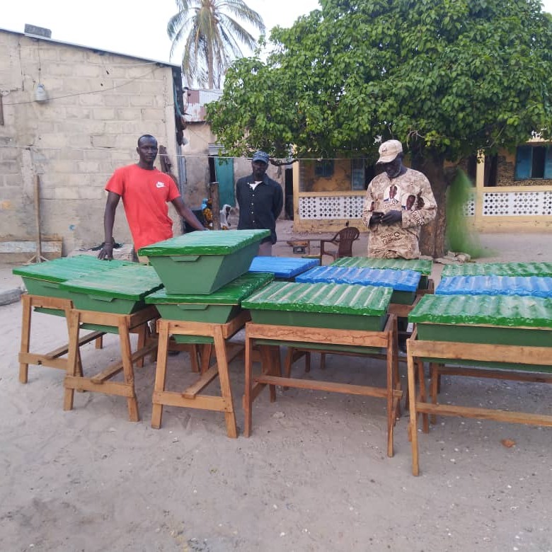 apiculture-senegal