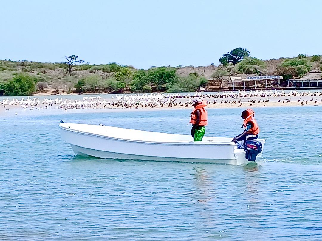 projet-kasofor-eclosio-senegal